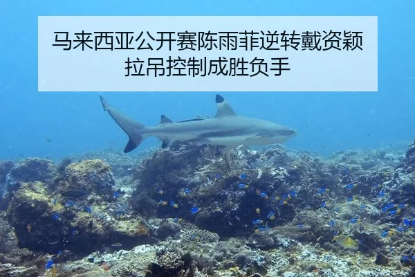 马来西亚公开赛陈雨菲逆转戴资颖 拉吊控制成胜负手