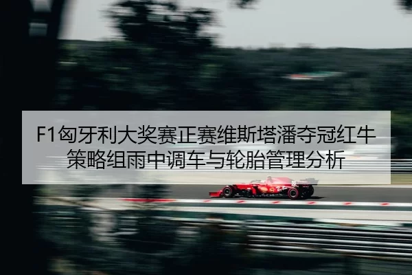 xiong-ya-li-da-jiang-sai-zheng-sai-wei-si-ta-pan-duo-guan-hong-niu-ce-lve-zu-yu-zhong-diao-che-yu-lun-tai-guan-li-fen-xi-2-396.jpg