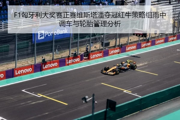 xiong-ya-li-da-jiang-sai-zheng-sai-wei-si-ta-pan-duo-guan-hong-niu-ce-lve-zu-yu-zhong-diao-che-yu-lun-tai-guan-li-fen-xi-3-709.jpg