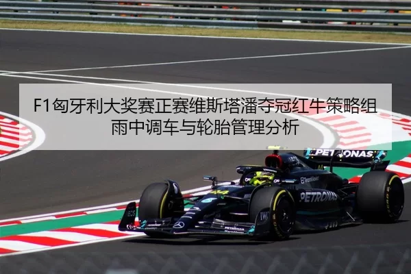 F1匈牙利大奖赛正赛维斯塔潘夺冠红牛策略组雨中调车与轮胎管理分析