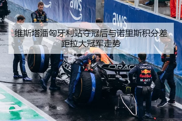 维斯塔潘匈牙利站夺冠后与诺里斯积分差距拉大冠军走势